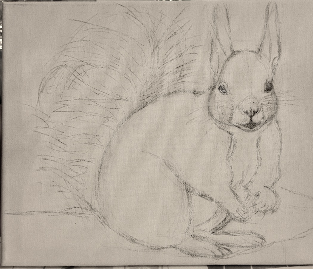 scoiattolo bozza su tela