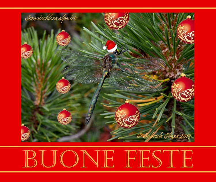 Buone feste
