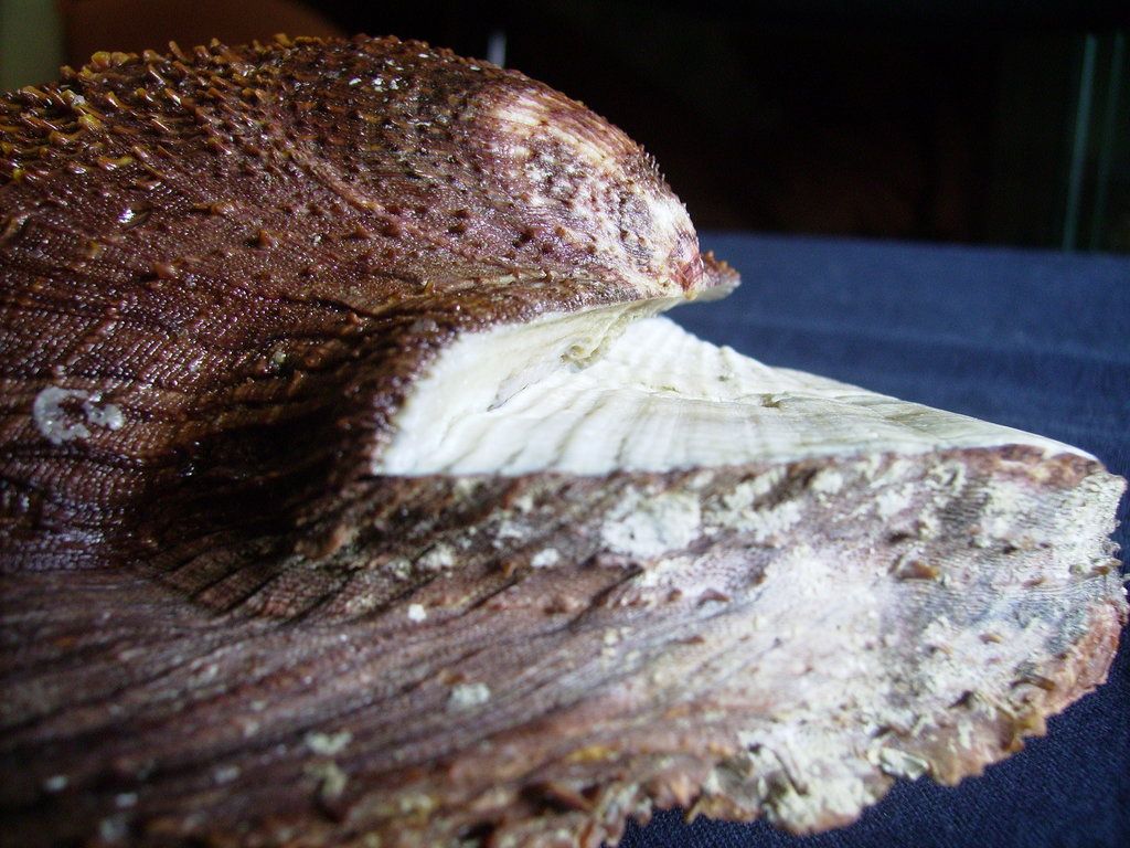 Novit� dal Mar Mediterraneo orientale