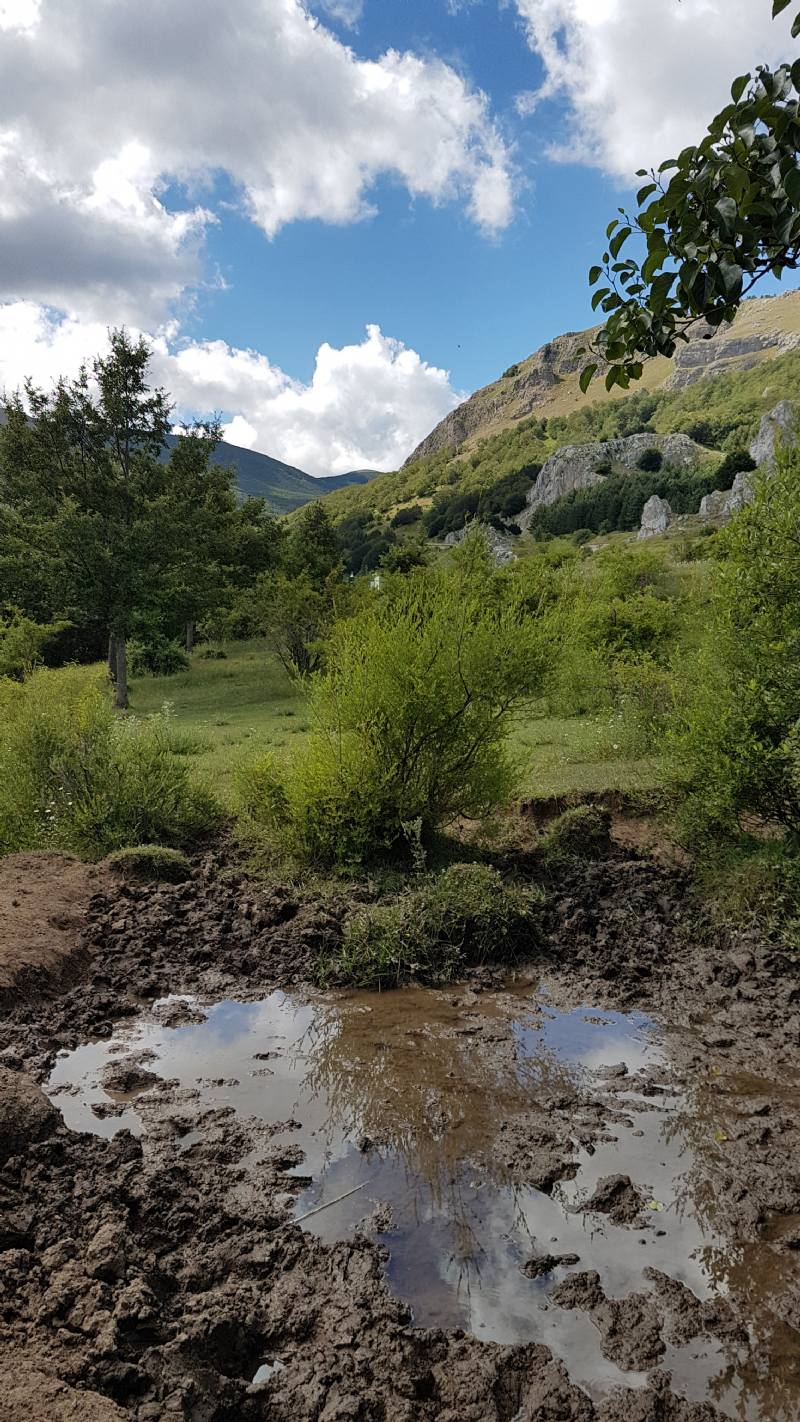 In cerca di ululoni... Pelophylax sp. - Basilicata