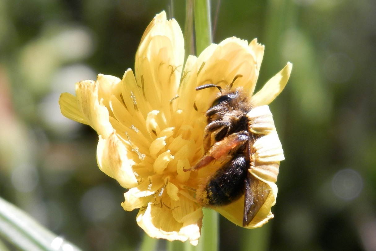a mattina presto f freddino....meglio coprirsi!!