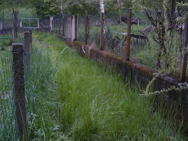 problemi con sito riproduttivo di anfibi in giardino