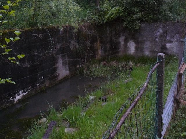 problemi con sito riproduttivo di anfibi in giardino