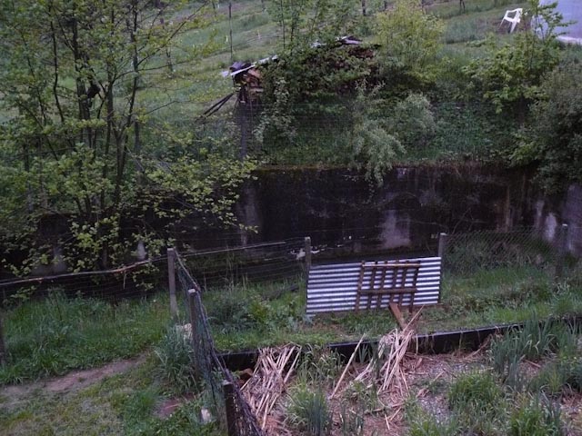 problemi con sito riproduttivo di anfibi in giardino