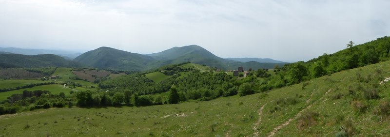 Pecore e Zerynthia