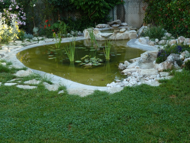 laghetto in cemento