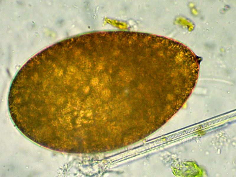 ??????????????????????