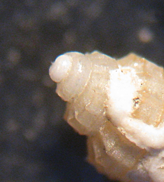 Esame di fine anno: Alvania