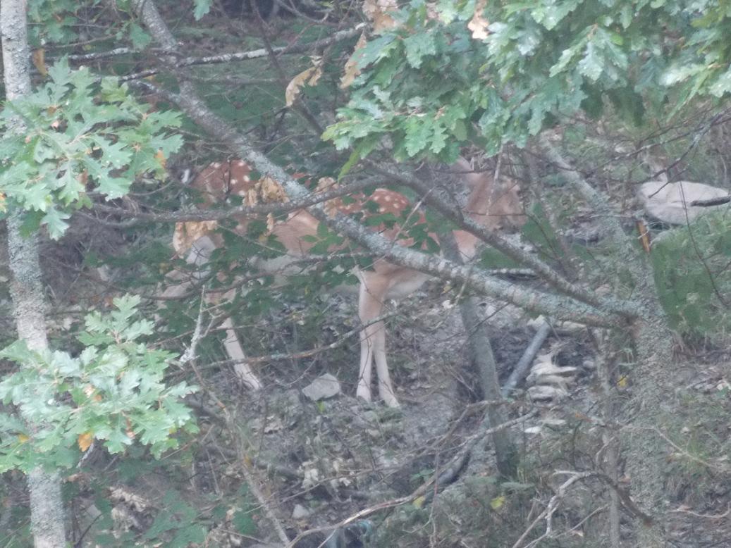 Indovina indovinello..