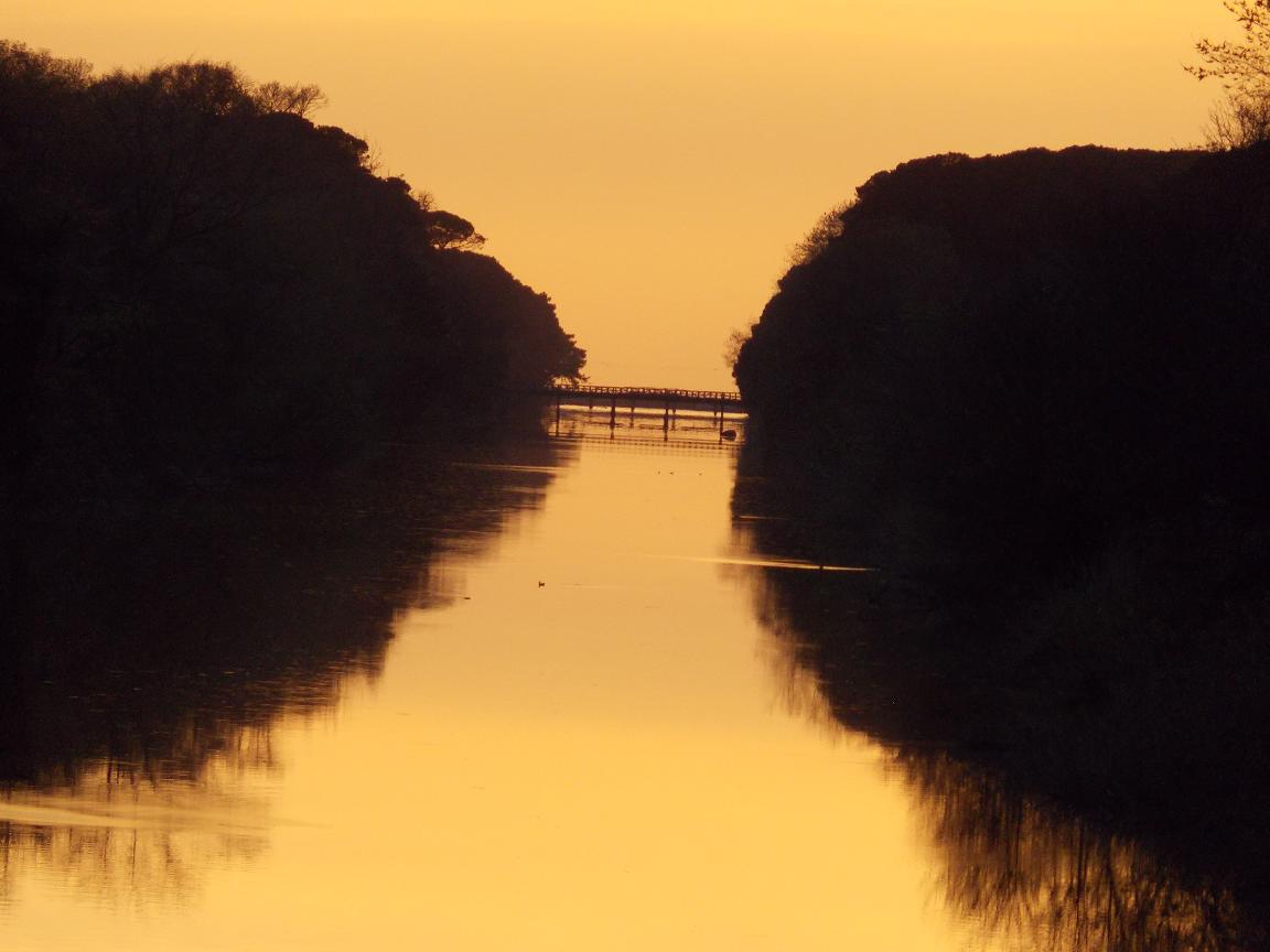 Tramonti e riflessi dal Parco di San Rossore