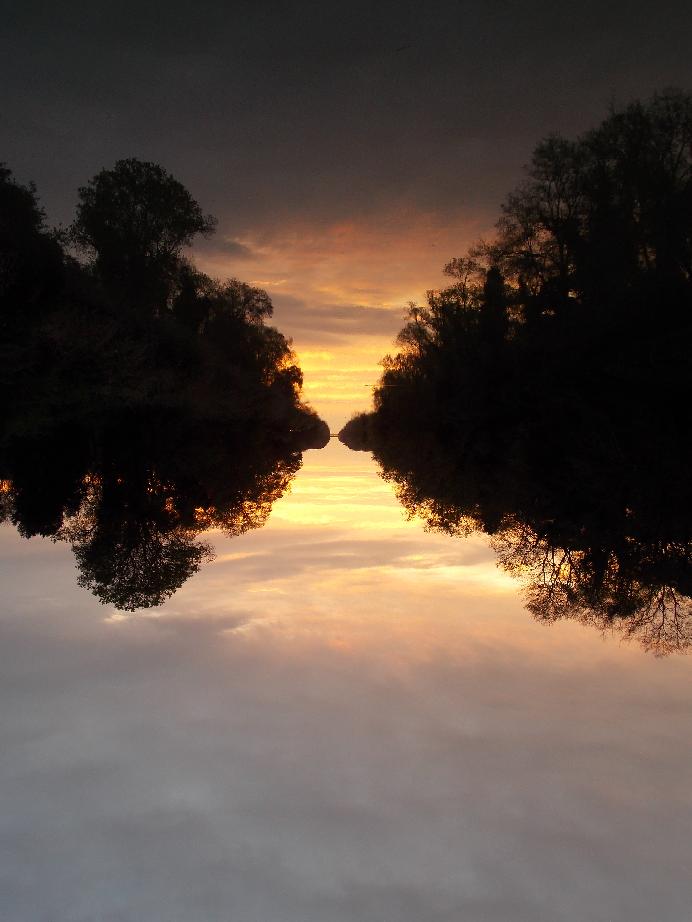 Tramonti e riflessi dal Parco di San Rossore