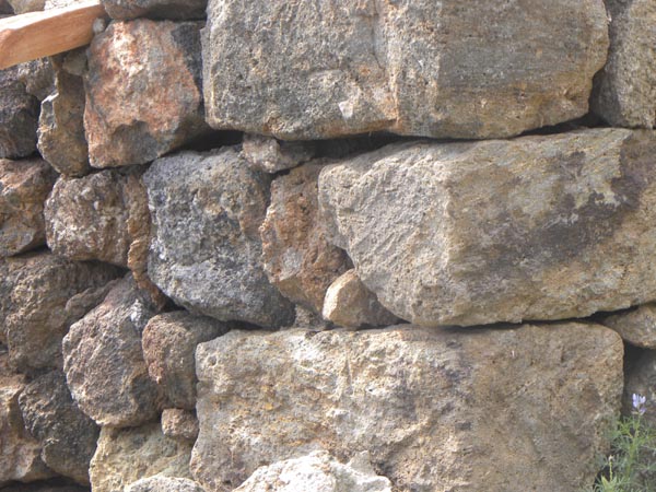 quiz - cosa cela quel muro?