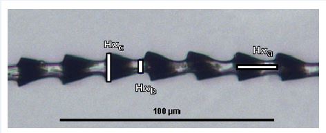 misurare peli al microscopio