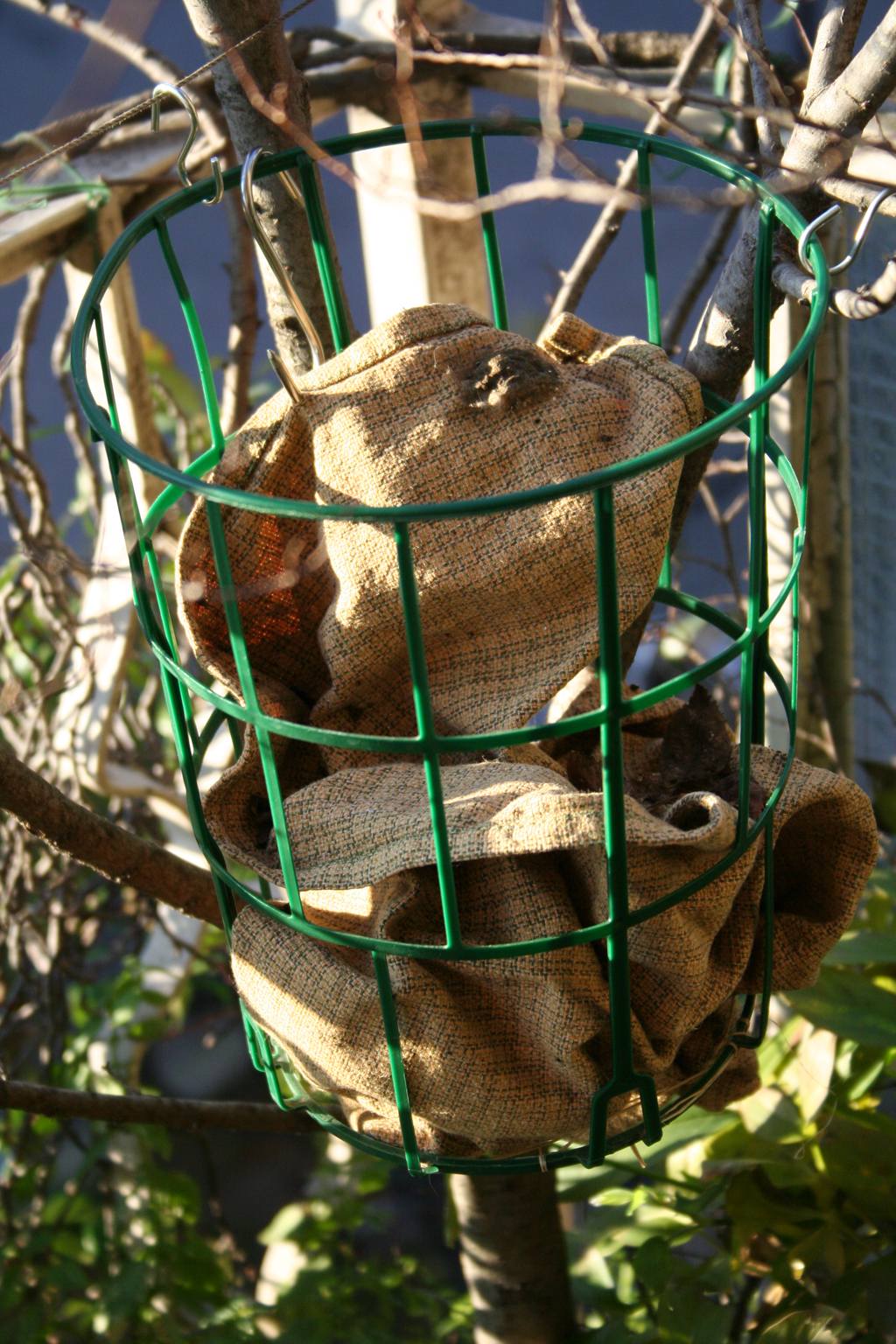 casetta per ragnetti