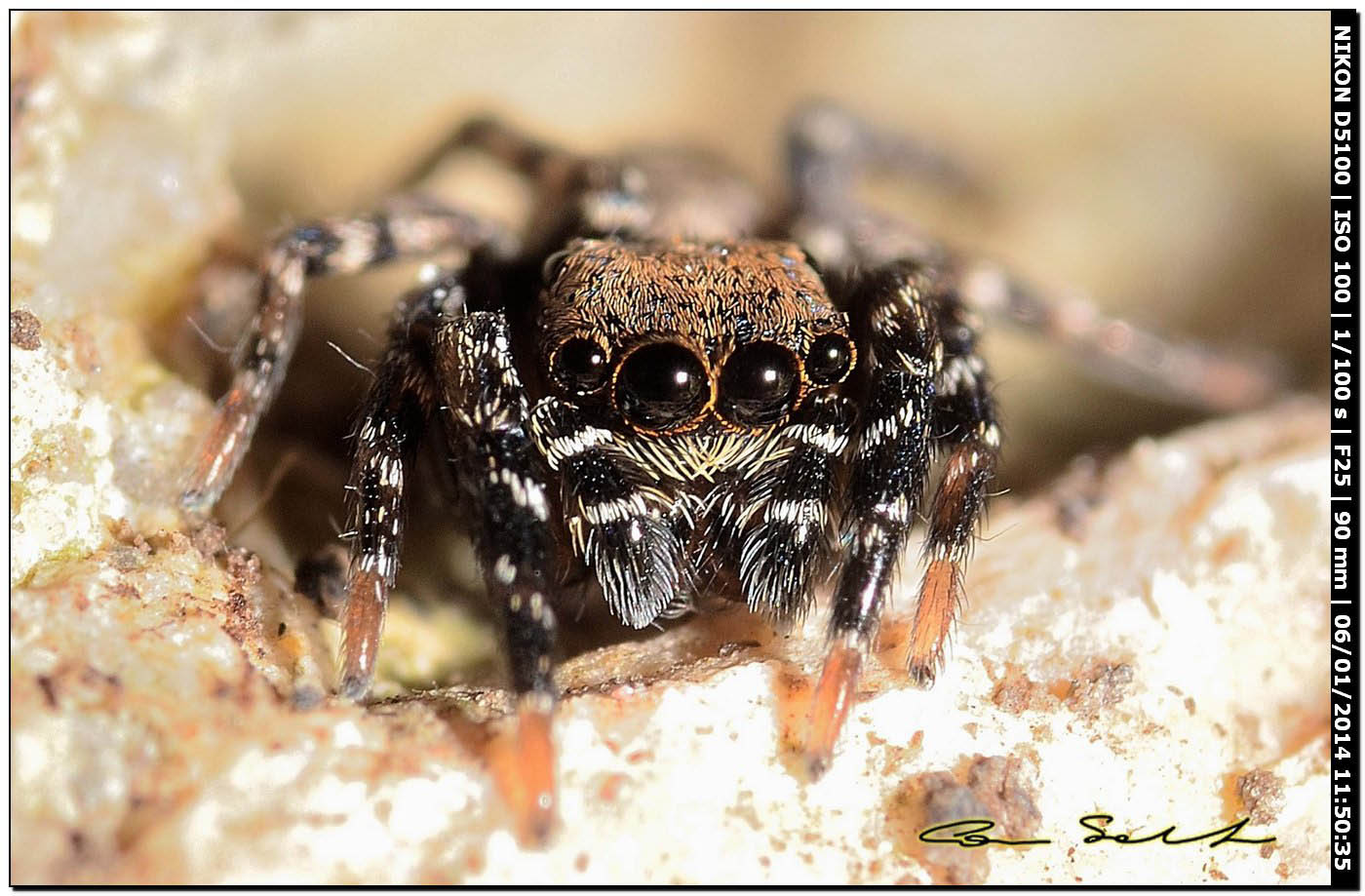 Ultime foto del 2013 e prime del 2014