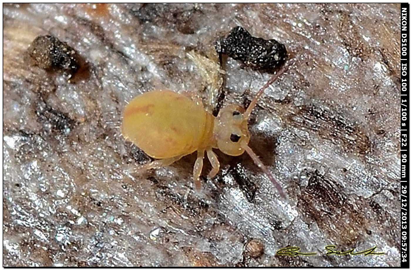 Ultime foto del 2013 e prime del 2014