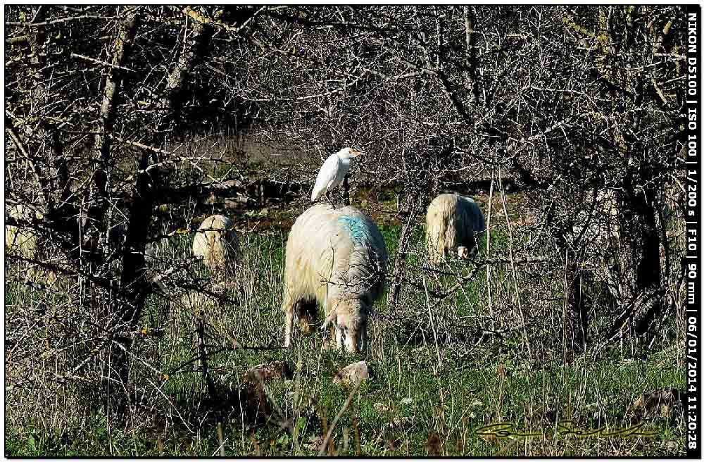 Ultime foto del 2013 e prime del 2014