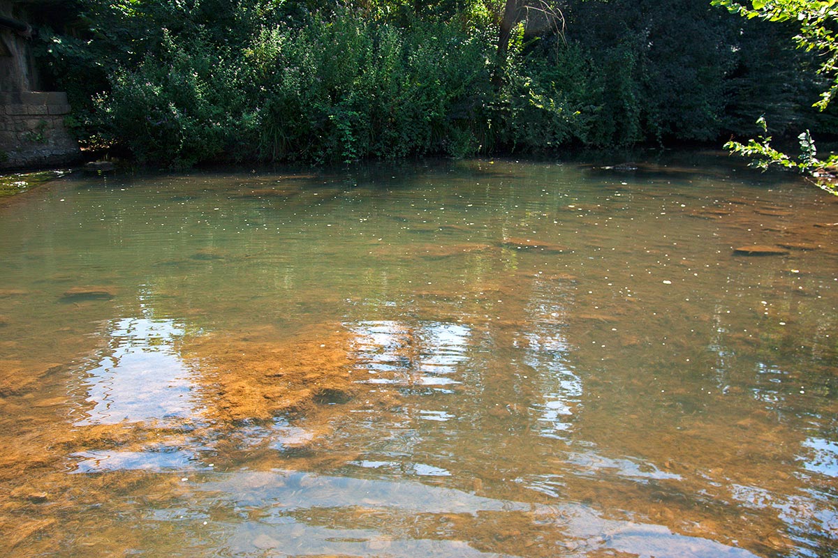 Endemici o transfaunati? Tre pesci dal fiume Amaseno