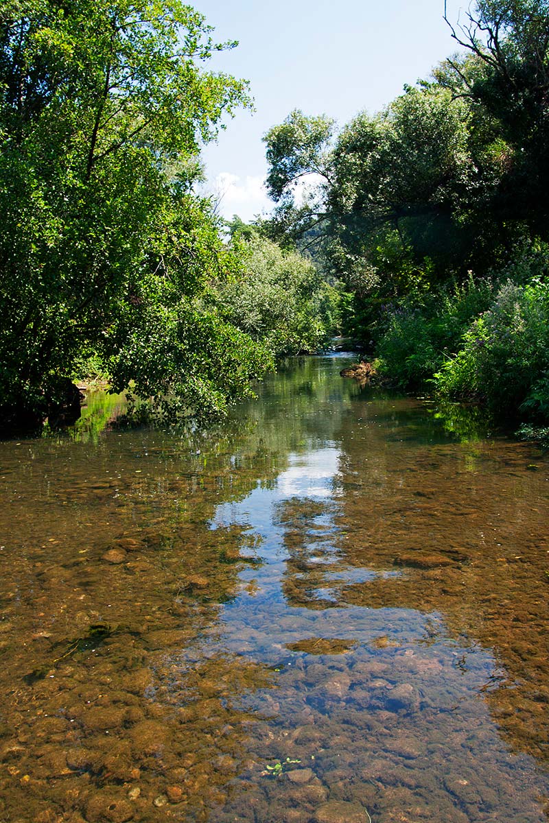 Endemici o transfaunati? Tre pesci dal fiume Amaseno