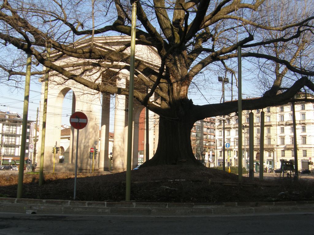 Alla base di una quercia