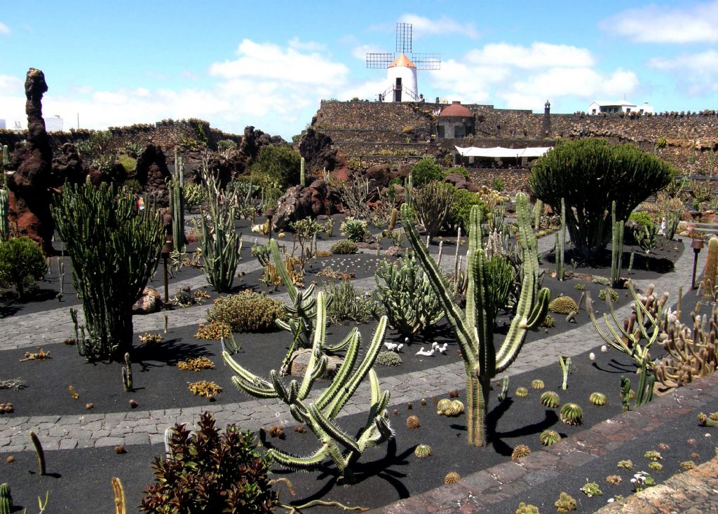 Jardin de Cactus di Lanzarote