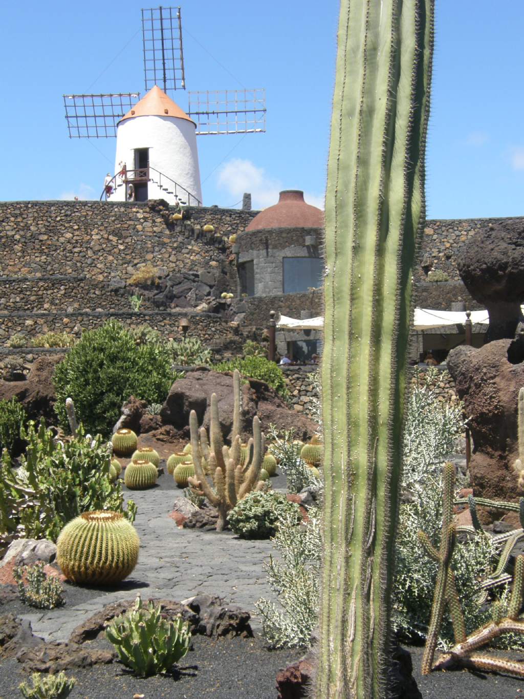 Jardin de Cactus di Lanzarote