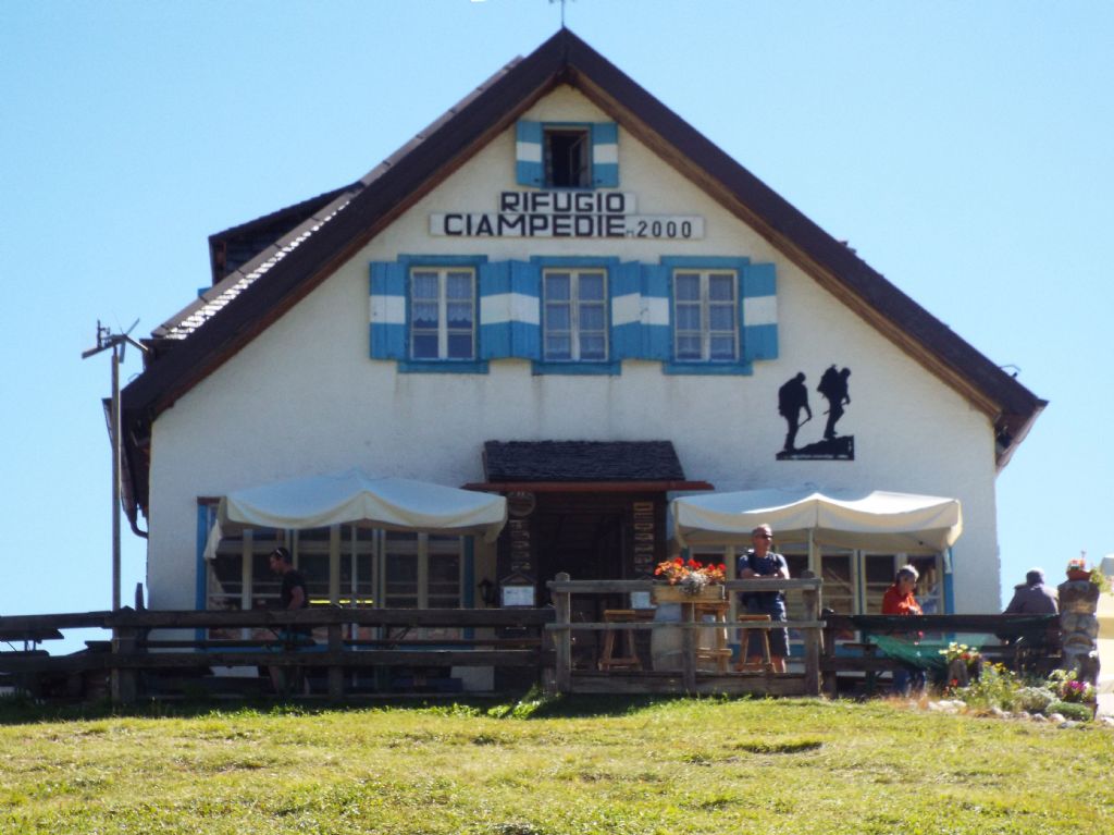 Campanula o Genziana?  Campanula cfr. spicata (e C. glomerata)