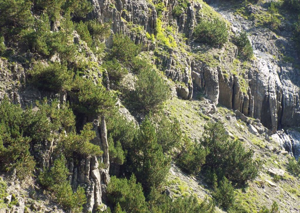Strane formazioni in alta Valtellina