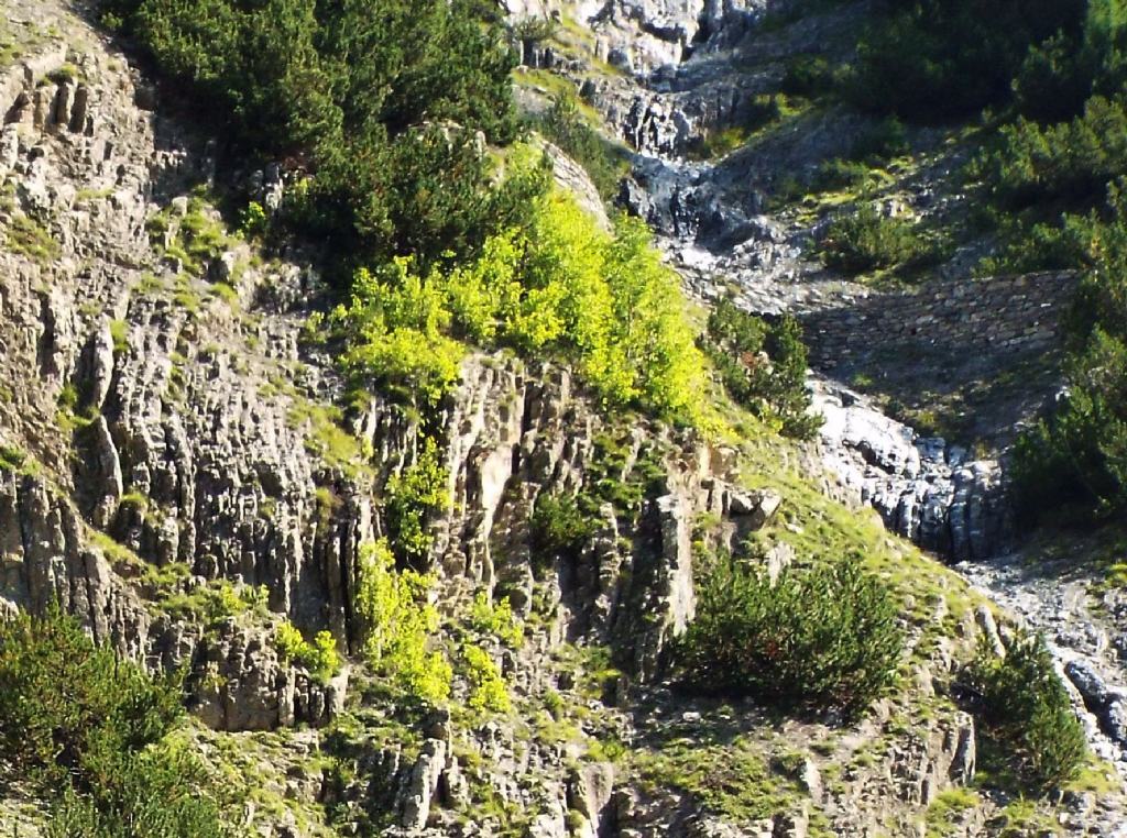 Strane formazioni in alta Valtellina