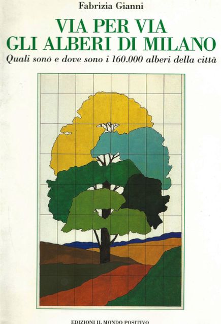 Platanus sp. (Platanaceae)