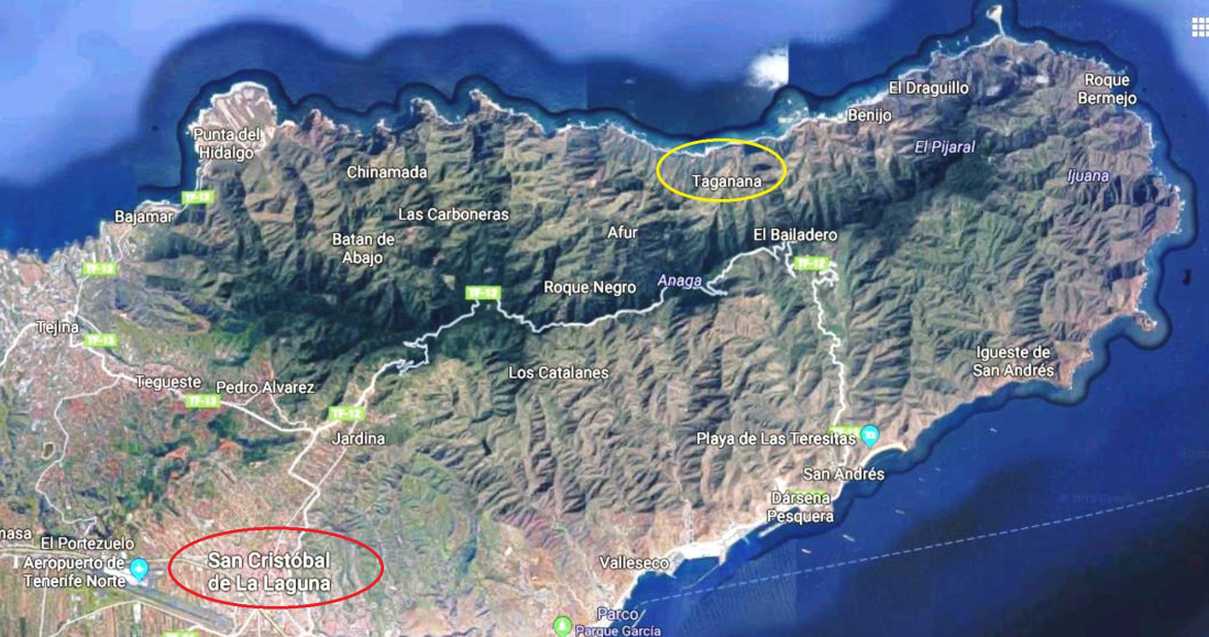 Mosche da Tenerife (Canarie) da id.