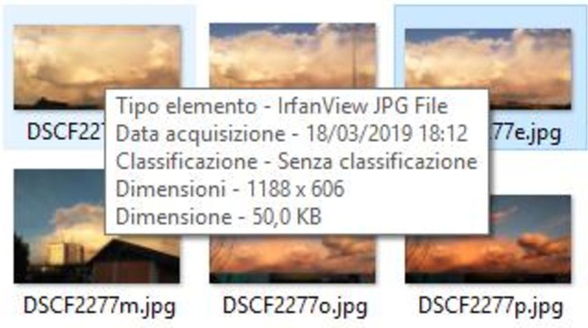 Brintesia circe (Nymphalidae Satyrinae)