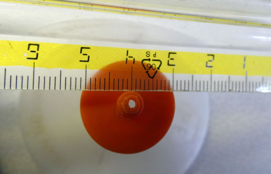 Moscerini alcolisti ? cfr. Drosophila sp.
