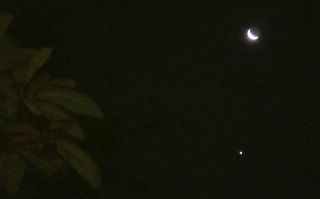 Congiunzione Luna-Venere  (15 agosto 2020)