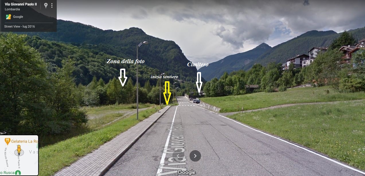 Quale papavero? Papaver glaucum (disseminato casualmente)