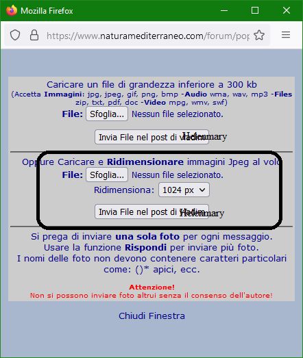 Nidi di fango