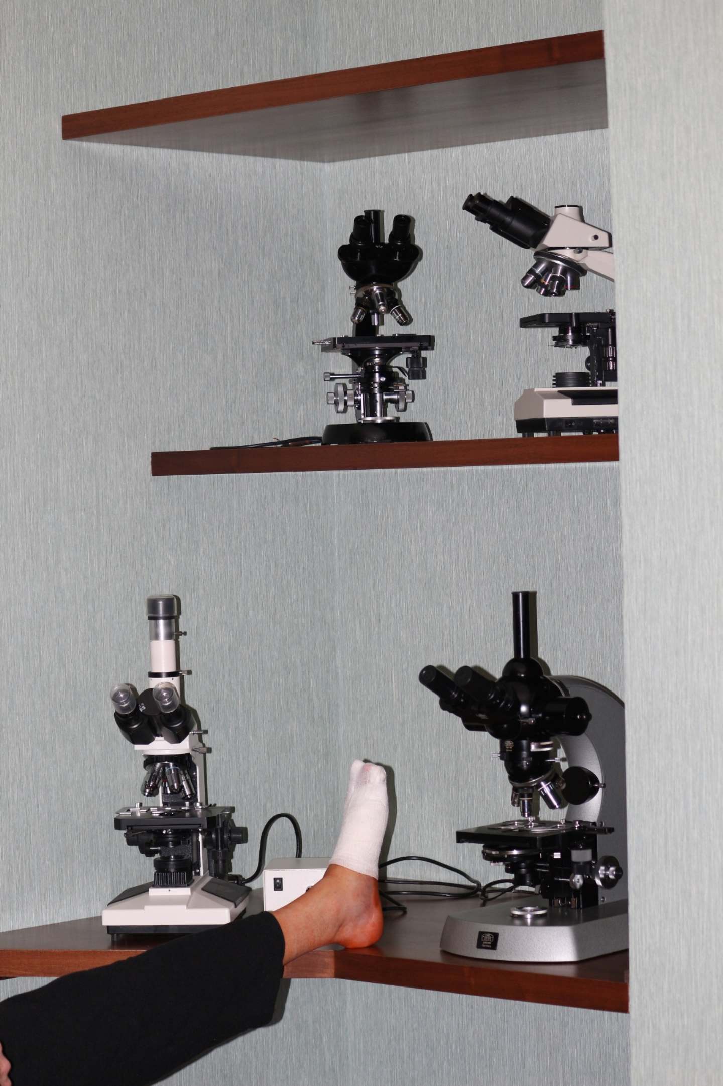 OT:  nuntio vobis gaudium magnum ...!