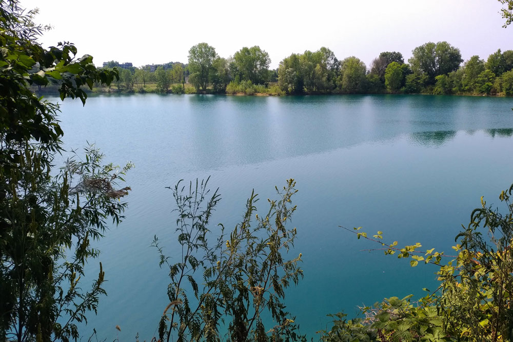 Trithemis annulata (Palisot de Beauvois, 1805) ♂ e ♀ + habitat