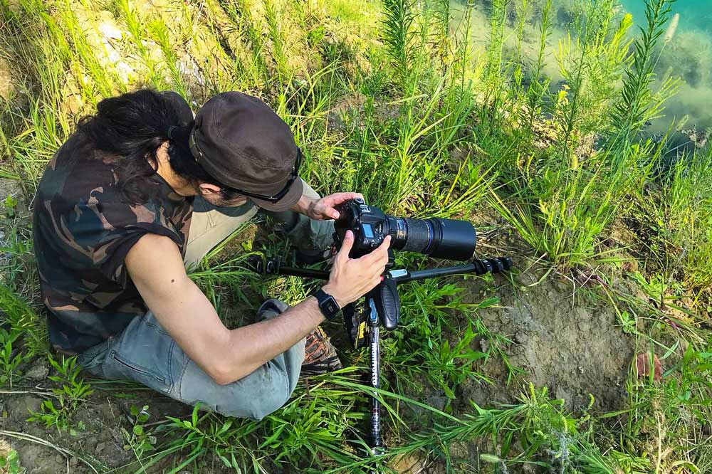 Trithemis annulata (Palisot de Beauvois, 1805) esuvia