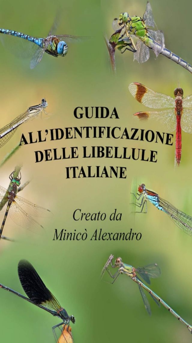 ODONATA - Libellule d''Italia (Android App)