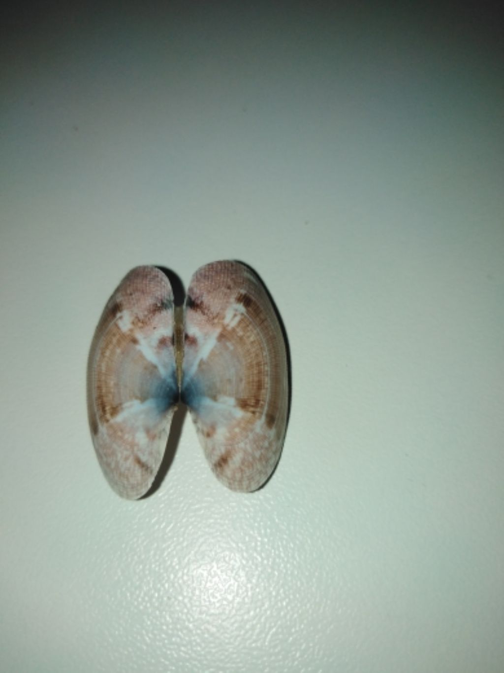 identificare