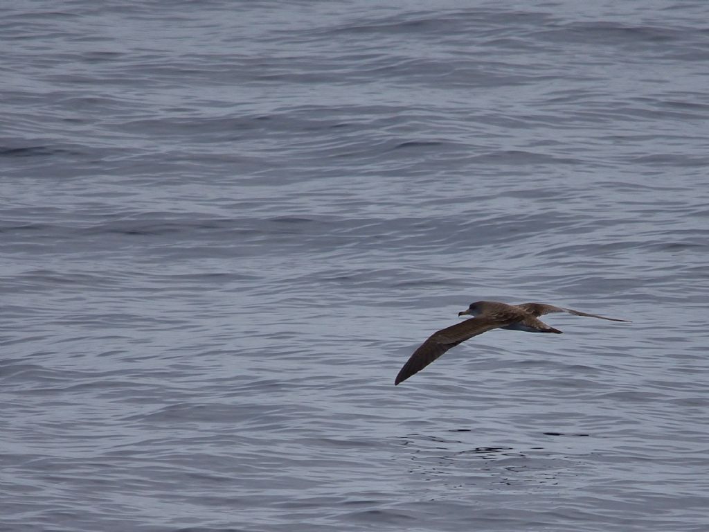 Fotoreport dall''isola di Antikythira (Grecia)