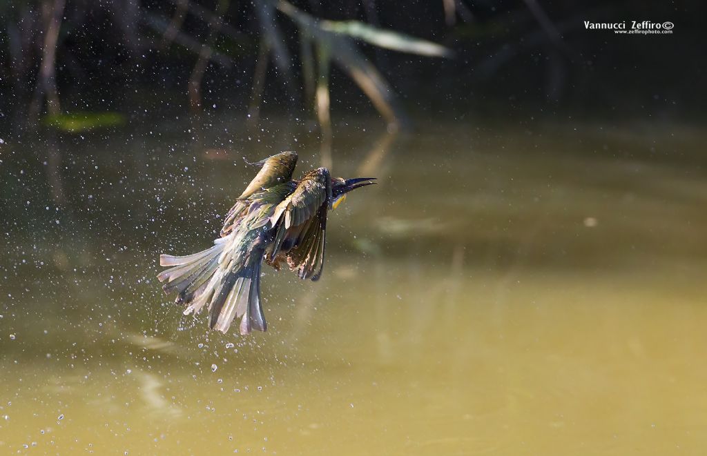 Gruccioni al bagnetto