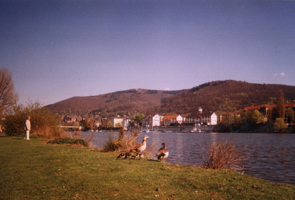Heidelberg (Germania)
