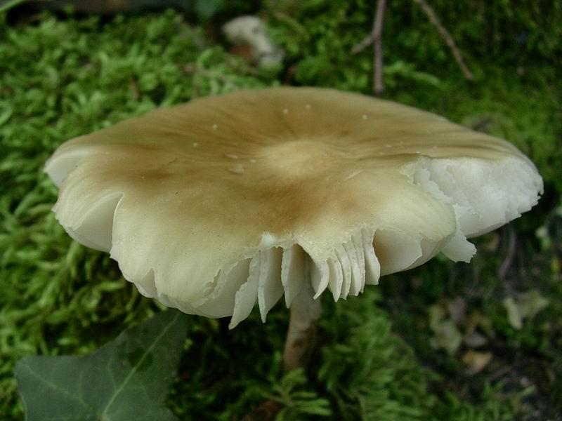 alcuni ritrovamenti 01.07.05