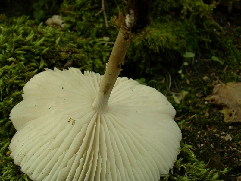 alcuni ritrovamenti 01.07.05