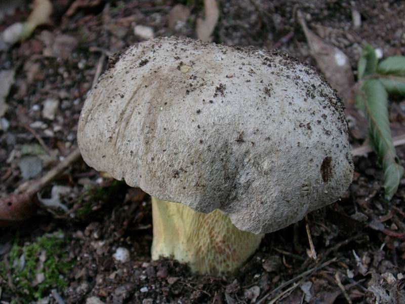 alcuni ritrovamenti 01.07.05