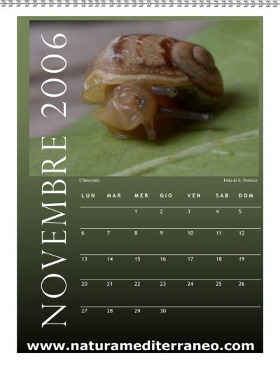 novembre