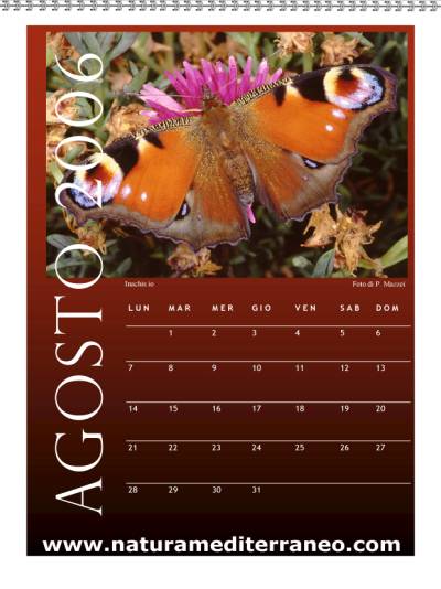 agosto