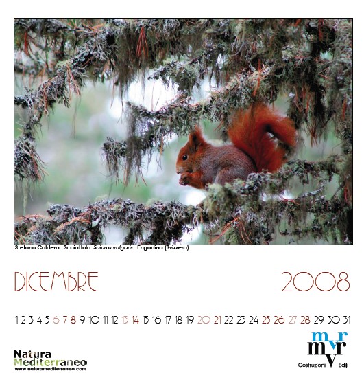 Calendario